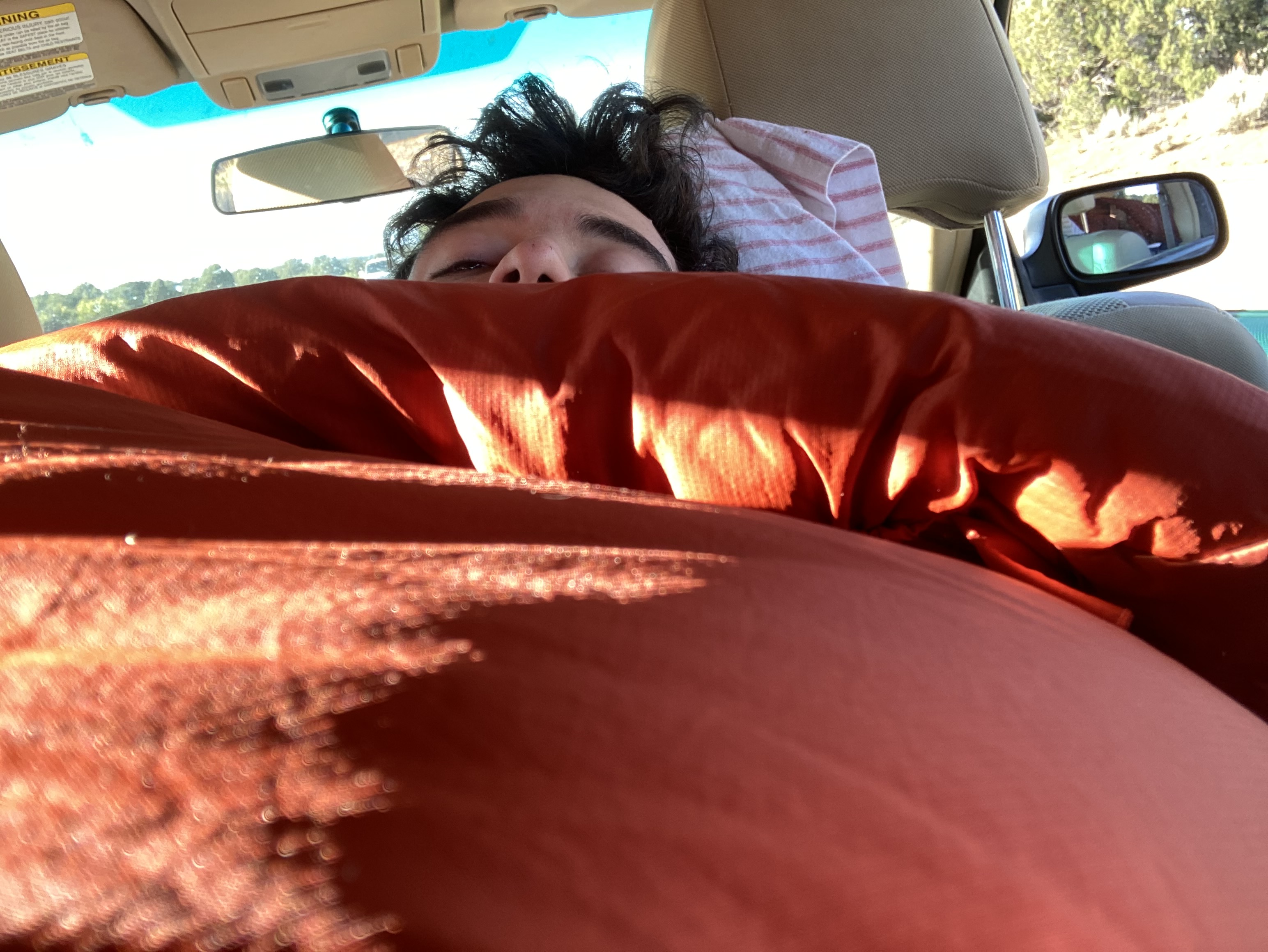 Napping in the Car